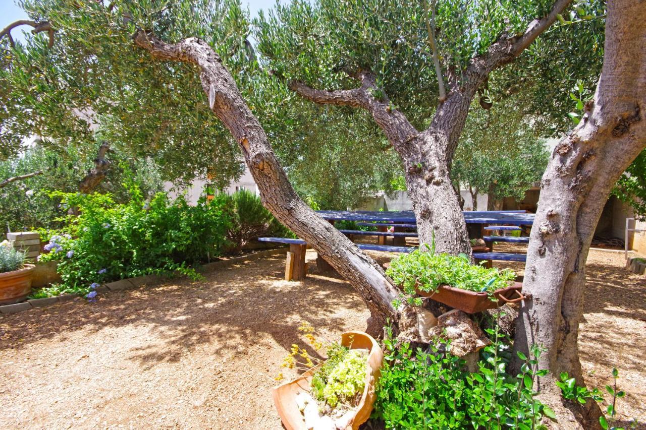 Matanovi Dvori Md Apartments Makarska Exteriör bild